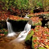 Great Of Nature