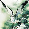 Green eagle slide puzzle