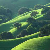 Green hills find numbers