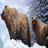 Grizzly bears and snow puzzle