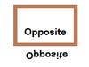 Guy - Opposite