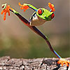 Happy crazy frog slide puzzle