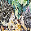 Hedgehogs at home puzzle