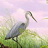 Heron in the lake puzzle