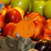 Hidden Pumpkins Market