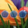 Hidden SpringStones