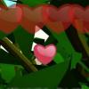 Hidden Summer Hearts