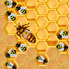 HoneySweeper