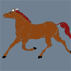 horse coloring