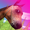 Horse Jumping 4
