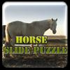 Horse Slide Puzzle