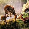 Hungry deers in the woods puzzle
