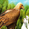Hungry mountain birds slide puzzle