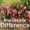 Impossible Spot Difference