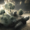 Interesting turtle slide puzzle