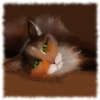 Jigsaw: Clever cat
