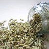 Jigsaw: Fennel Seeds