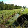 Jigsaw: Fields