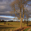 Jigsaw: Heavy Sky Sun