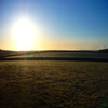 Jigsaw: Morning Sun