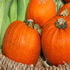Jigsaw: Pumpkins