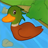 Joice Duck