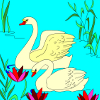 Kid's coloring: Two Swans