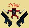 Kill the Ninja iPhone!