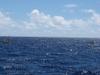 Label the Earth's Oceans