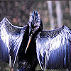 Large wing slide puzzle