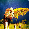 Little lions puzzle