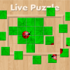 Live Puzzle