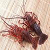 Lobster puzzle Small Thumbnail