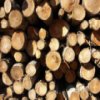 Logs Slider