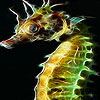Lonely sea horse slide puzzle