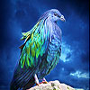 Lovely blue bird slide puzzle