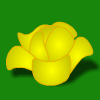 Lucky Cabbage