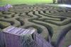 Maze