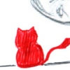 Miciu the jumping cat