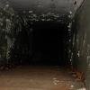 Mini Tunnel Escape 3