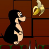 Smart monkey