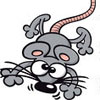 Mouse Trap