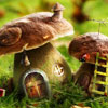 Mushroom House