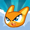Myor cat 2