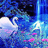 Nature and animals hidden numbers