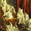 Naughty cute cats puzzle
