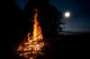 Night Campfire