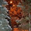 Night Light