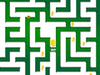 Night Rat Maze