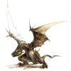 Noah and Wyvern